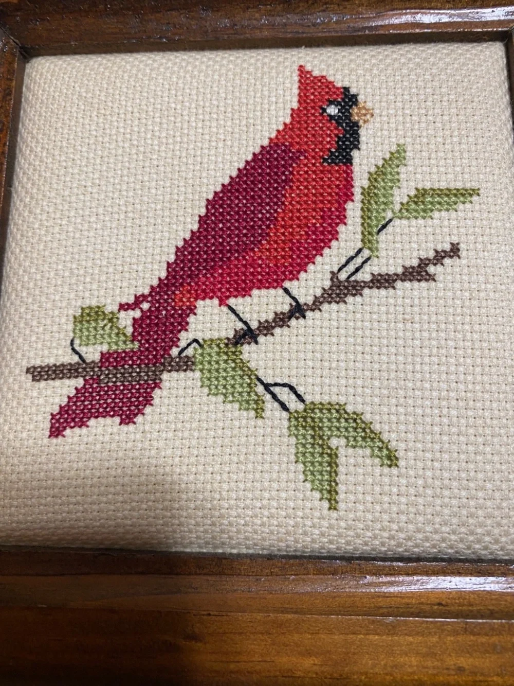 Cardinal framed 7X7 inch cross stitched.